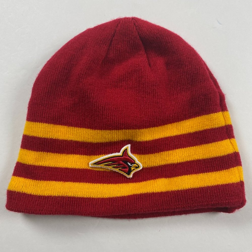 NWOT Arizona Cardinals Winter Hat Cap Toque The Game NFL Football